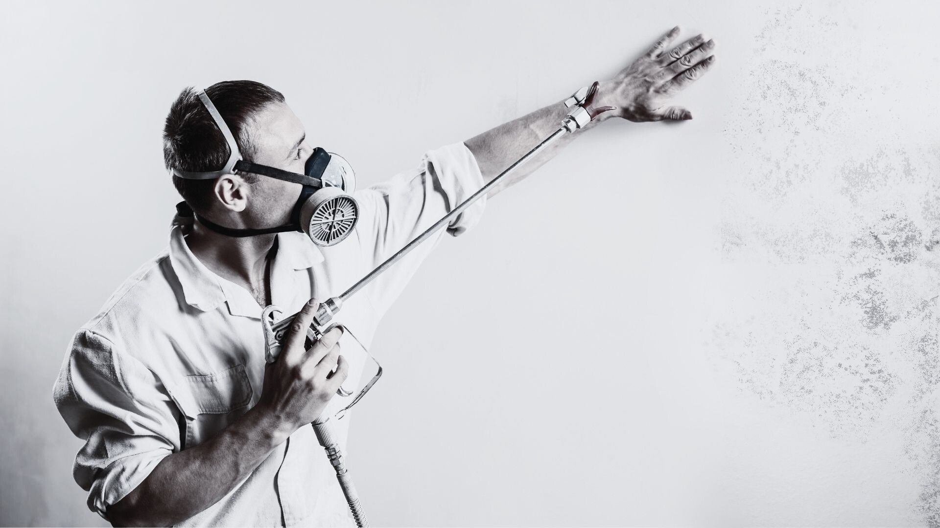 Fachgerechte Schimmelbeseitigung durch Schimmelpiraten Leipzig Professionelle Schimmelbeseitigung durch Schimmelexperten in Leipzig