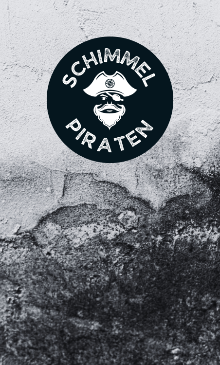 Schimmelentfernung in Leipzig Schwarzer Schimmelbefall an Wohnzimmerwand vor professioneller Sanierung