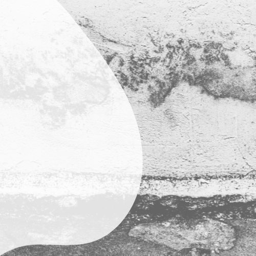 Schimmel in der Wohnung